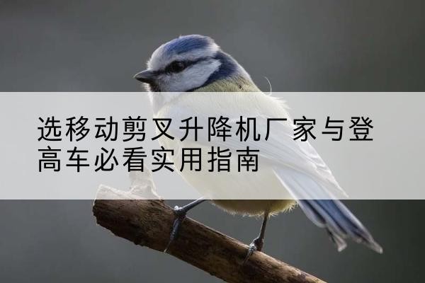 吉林电动升降机厂家-选移动剪叉升降机厂家与登高车必看实用指南