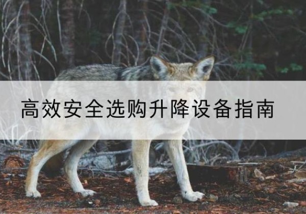 吉林升降货梯厂家推荐-*安全选购升降设备指南